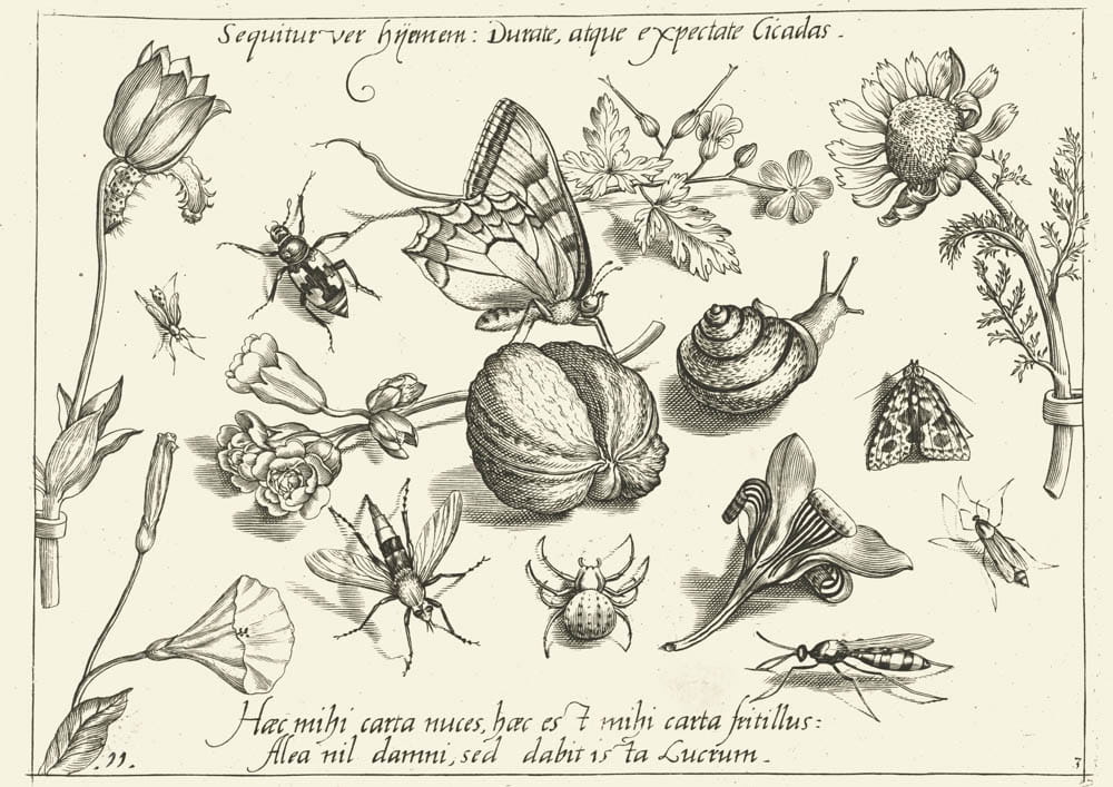 O pocieszeniu, 1592 r.