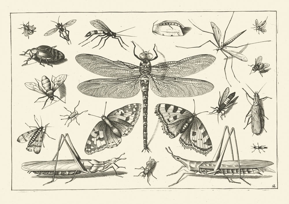 Rycina bez sentencji 01, 1592 r.