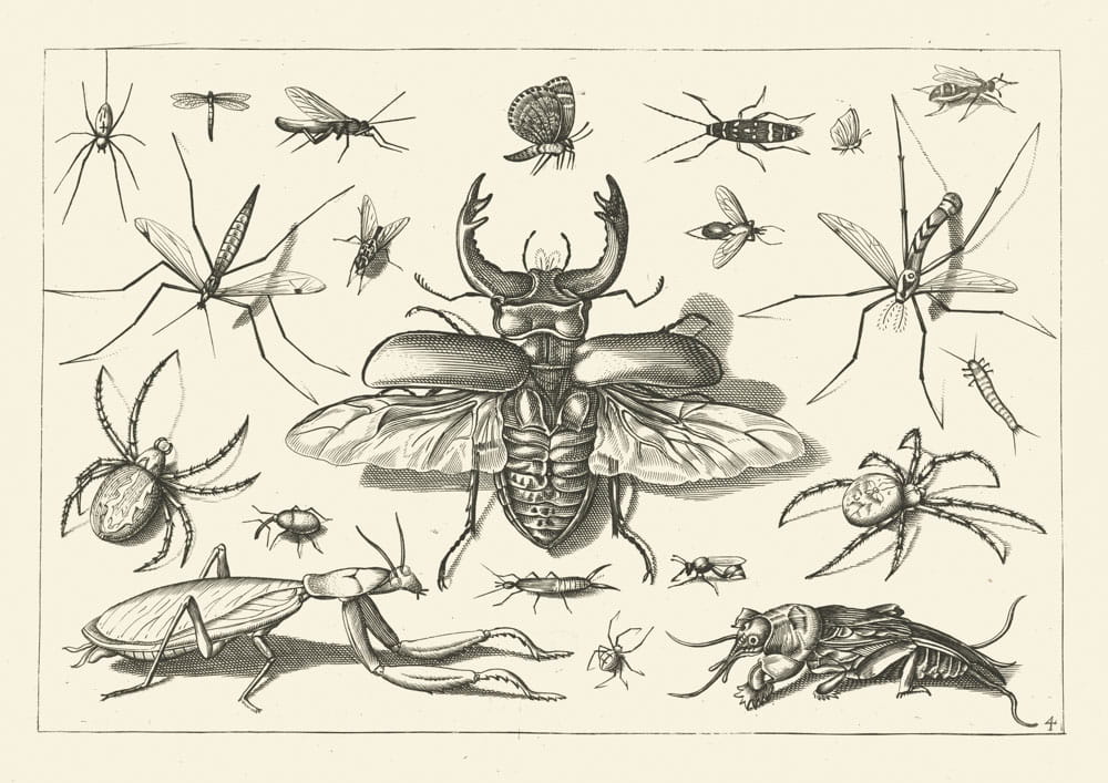 Rycina bez sentencji 03, 1592 r.