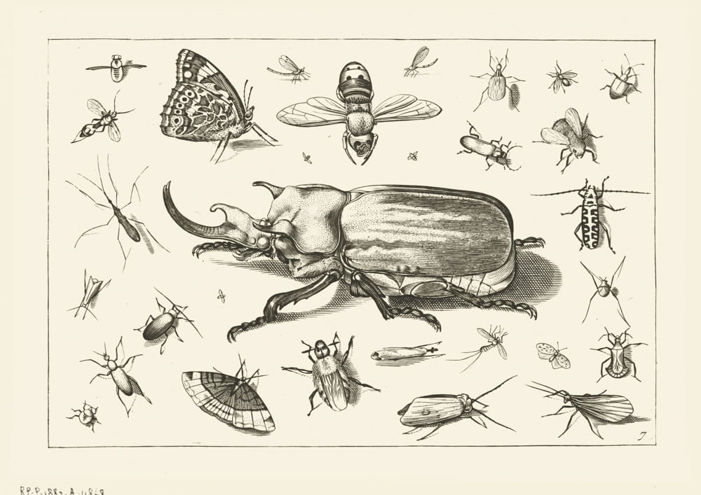 Rycina bez sentencji 06, 1592 r.