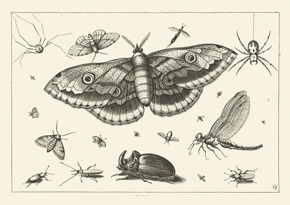 Rycina bez sentencji 12, 1592 r.