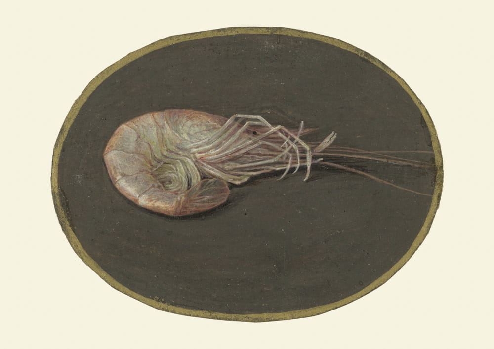 Obraz Krewetka, 1690 r.