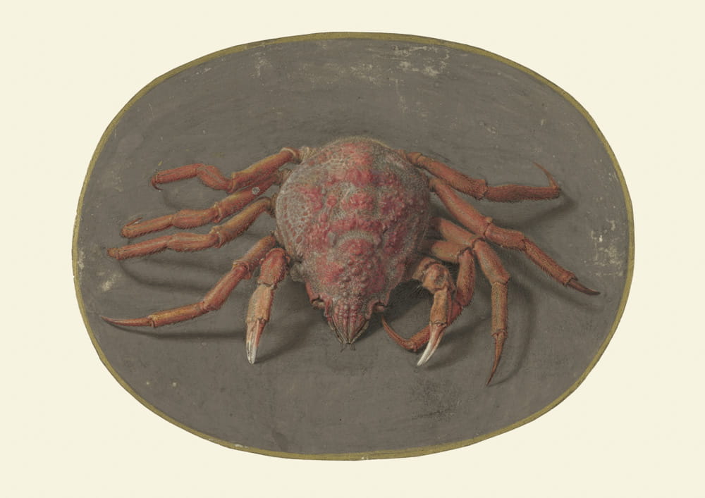 Obraz Krab, 1690 r.