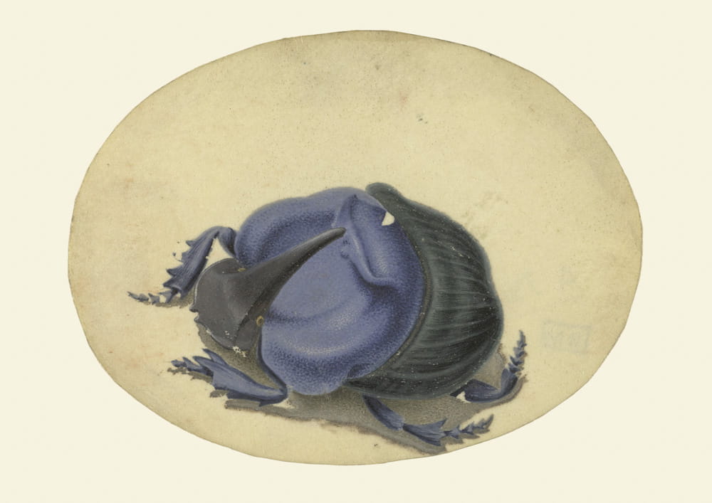 Obraz Żuk, 1690 r.