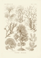 master-pnp-ds-07500-07552u.jpg