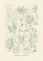 master-pnp-ds-07500-07564u.jpg